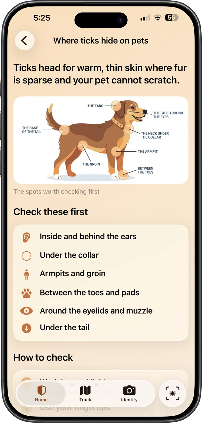 A TickSentry Tick Wiki article about where ticks hide on pets.